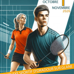 Tournoi Jeune et Vétéran ASSJ BADMINTON 87